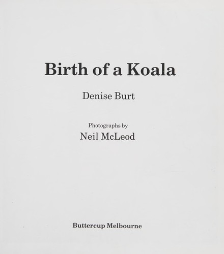 Birth of a koala