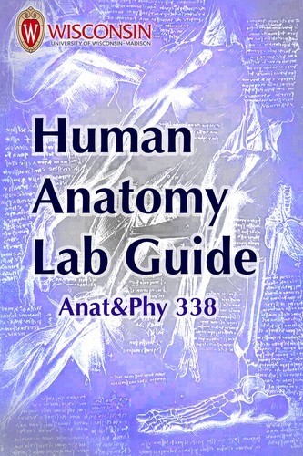 Human Anatomy Lab Manual