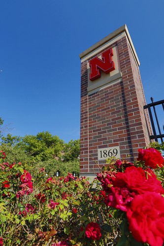 Affordable Content Faculty Guide