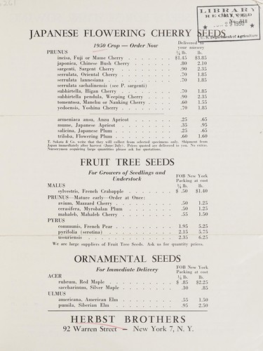 Flower seeds for summer sowing