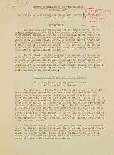 Studies of diapause in the pink bollworm in Puerto Rico