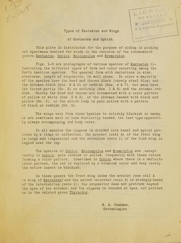 Types of exetastes and wings of exetastes and ophion