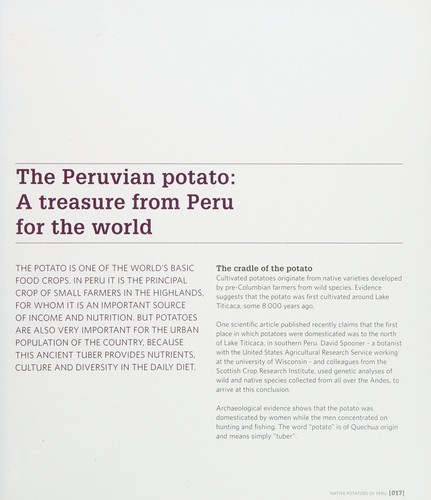 Native potatoes of Peru