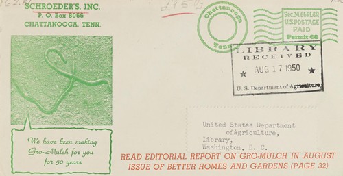 Tropical beauty for your garden