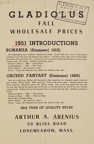 Gladiolus