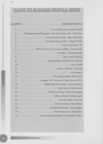 Understanding business in Ireland