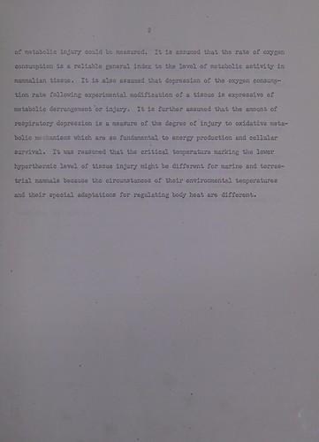 Tissue thresholds of hyperthermic injury in Arctic mammals