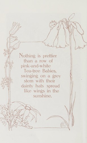 Flannel flowers and other bush babies