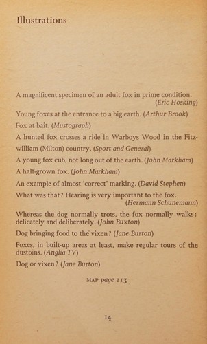 Town fox, country fox