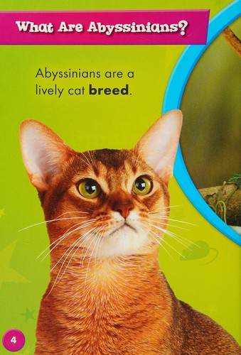 Abyssinians