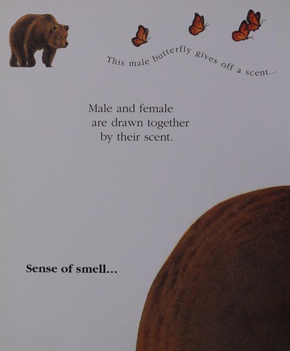 Finding a Mate (First Discovery)