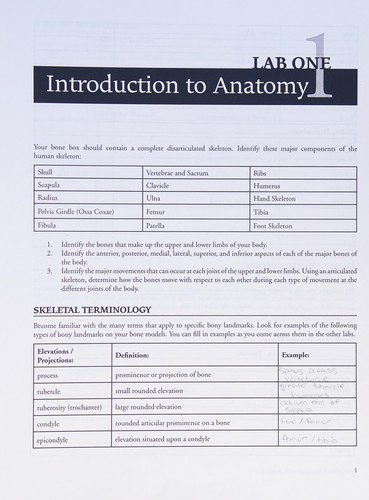 Introduction to Human Musculoskeletal Gross Anatomy