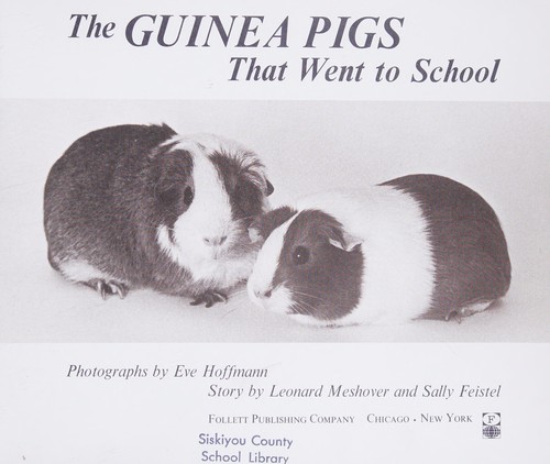 The guinea pigs that went to school.