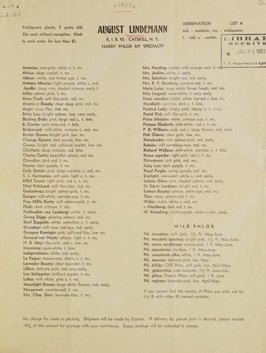 Hardy phlox my specialty