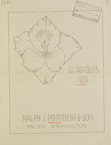 Gladiolus 1951