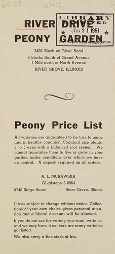 Peony price list