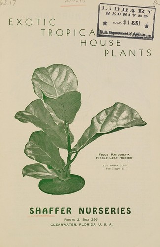 Exotic tropical house plants