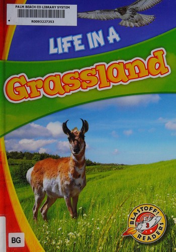 Life in a grassland