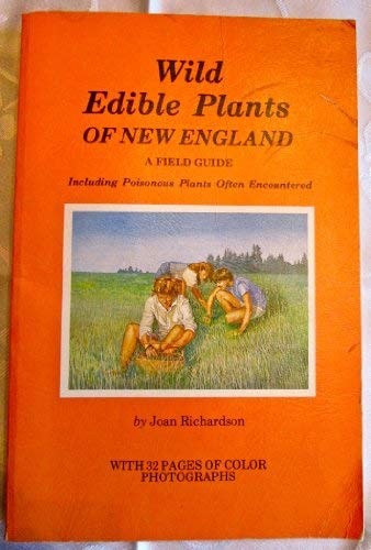 Wild edible plants of New England