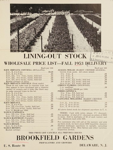 Lining-out stock