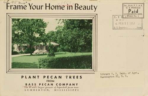 Frame your home in beauty