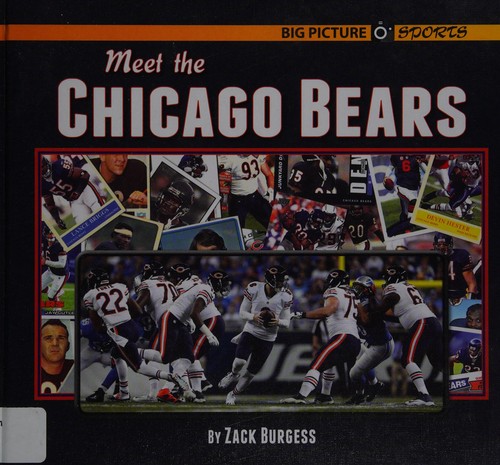 Meet the Chicago Bears