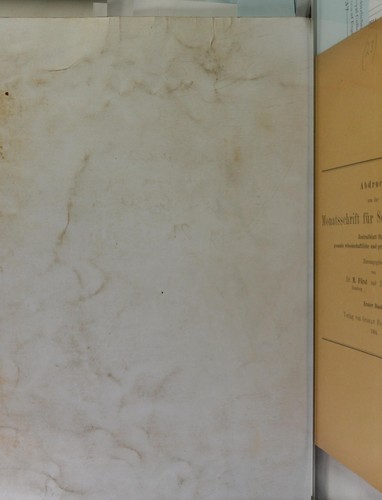 M©Þngel in der psychischen Konstitution unserer Zeit