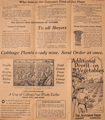 Additional profit in vegetables