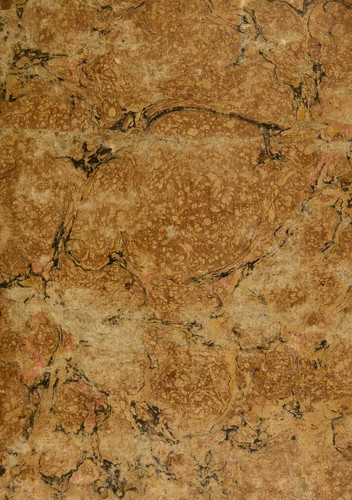 £̀ e-z ơot torat ha-bayit