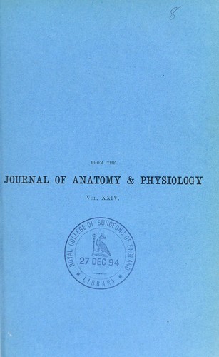 The gustatory organs of Belideus ariel