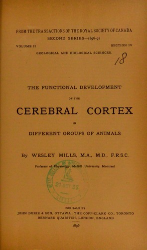 The functional development of the cerebral cortex in different groups of animals