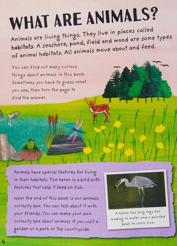 Curiosity Box : Animals