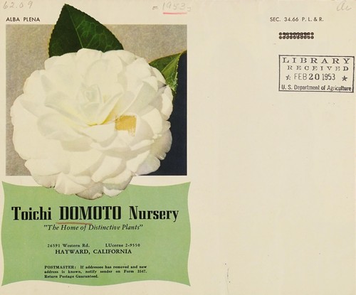 Toichi Domoto Nursery