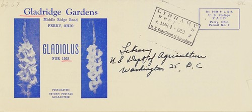 Gladiolus for 1953