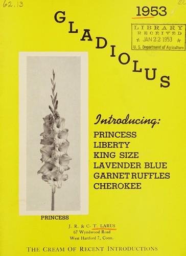 Gladiolus 1953