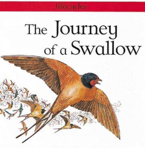 The Journey of a Swallow (Lifecycles)