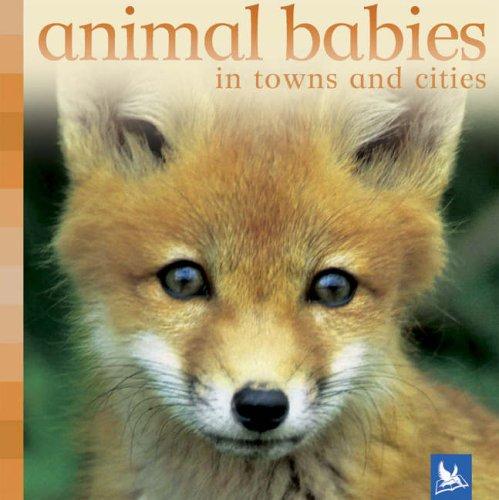 Animal Babies in Towns and Cities (Animal Babies)