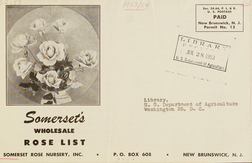 Somerset's wholesale rose list