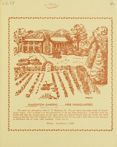 Herb seeds and plants grown at Plantation Gardens