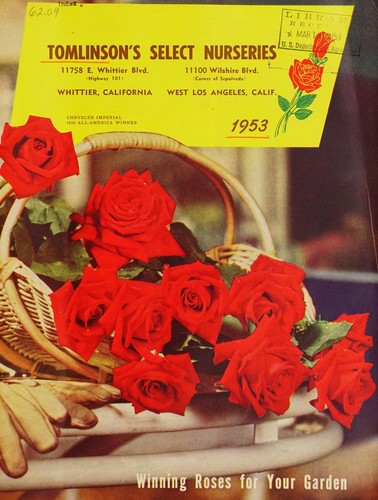 Winning roses for your garden