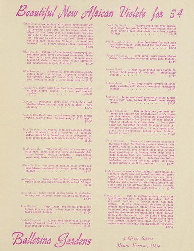 Beautiful new African violets for 54