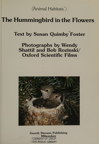 The hummingbird in the flowers