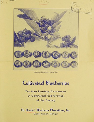 Cultivated blueberries