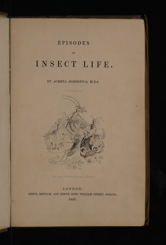 Episodes of insect life