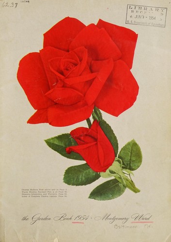 The garden book 1954