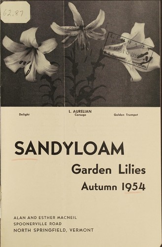 Sandyloam garden lilies
