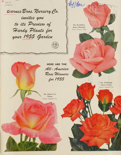 Barnes Bros. Nursery Co. invites you to its preview of hardy plants for your 1955 garden