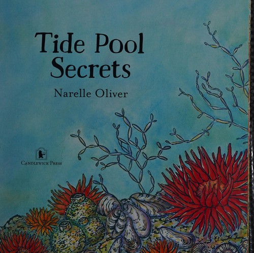 Tide pool secrets