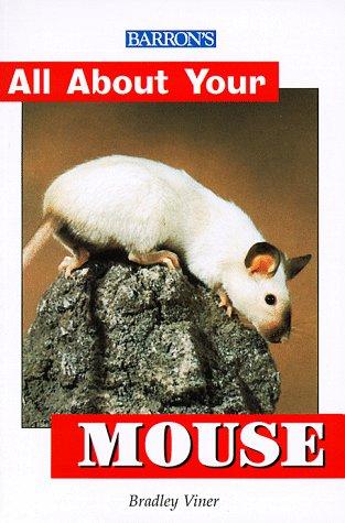 All About Your Mouse