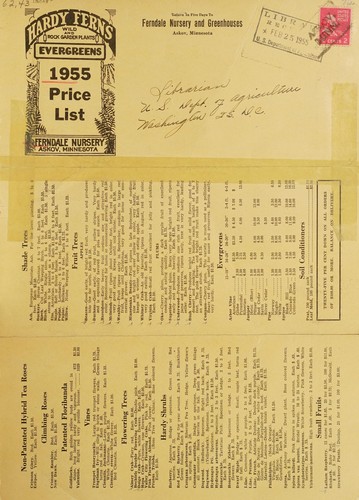 Hardy ferns, wild and rock garden plants, evergreens